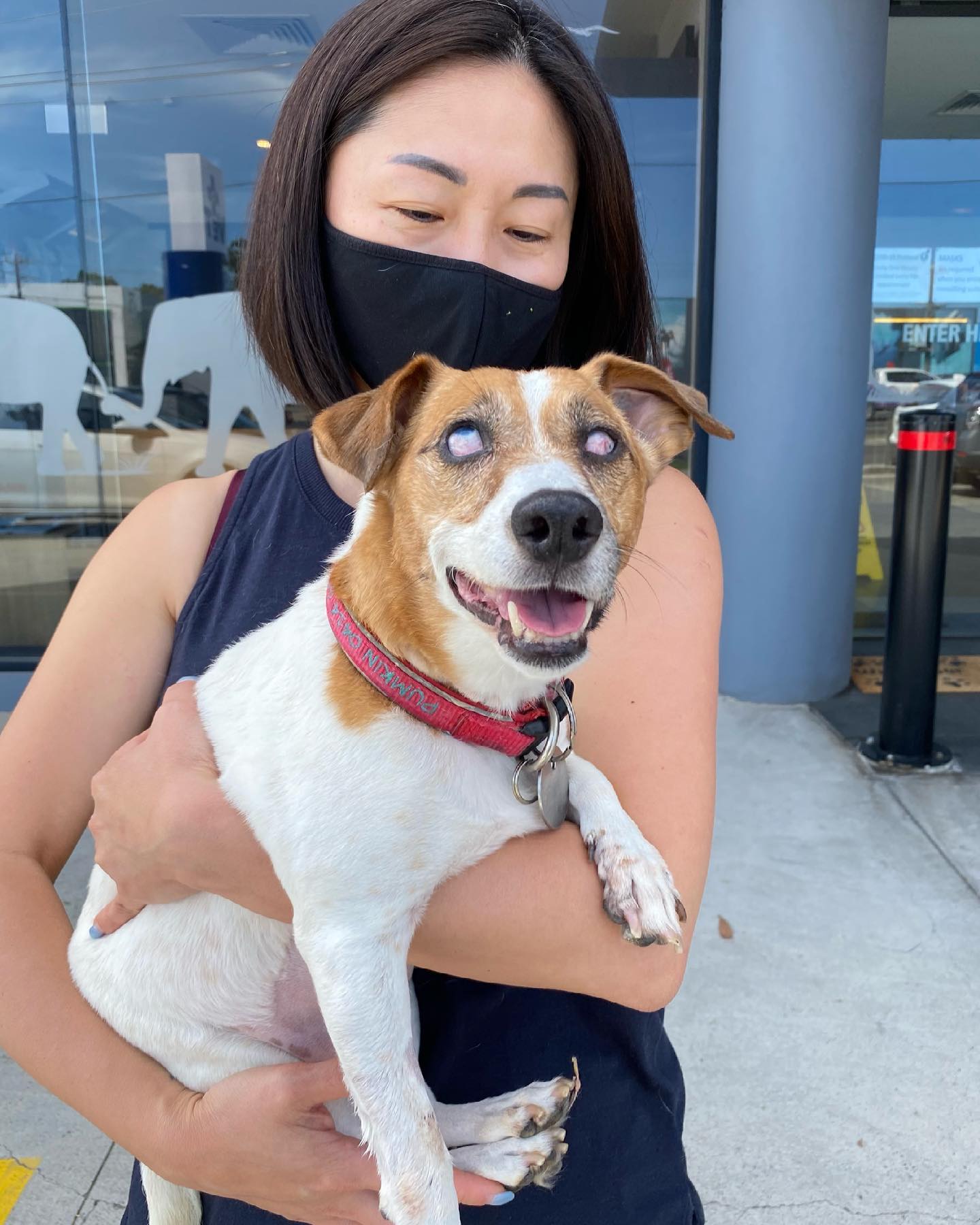 Yvonne Hong, Founder & CEO of Pets Of The Homeless