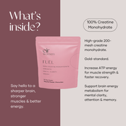 Brain, Focus & Sleep Bundle